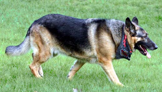 Rommel getting slimmer