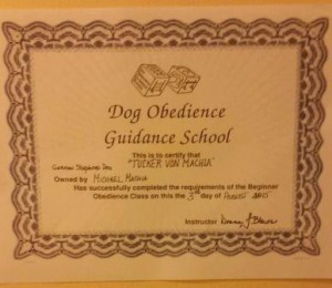 Tucker obedience certificate