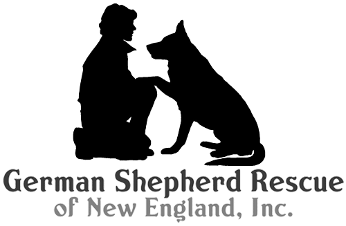 German Shepherd Rescue of New England Logo