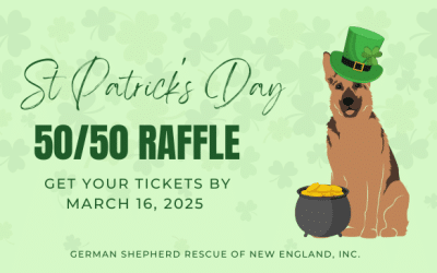 GSRNE St. Patrick’s Day 50/50 Raffle