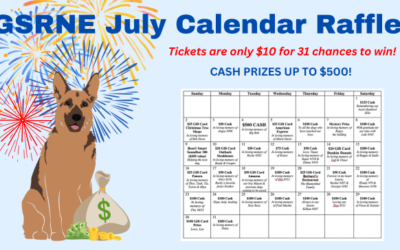 Our July Calendar Raffle Is Here!