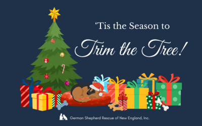 GSRNE’s Annual Trim the Tree Fundraiser is Back