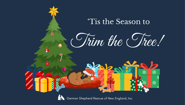 GSRNE’s Annual Trim the Tree Fundraiser is Back