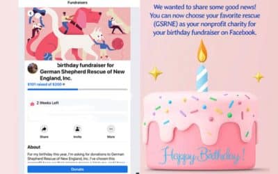 Celebrate Your Birthday With a Facebook Fundraiser for GSRNE!