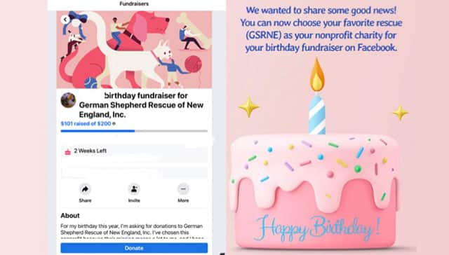 Celebrate Your Birthday With a Facebook Fundraiser for GSRNE!