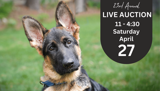Don’t Miss Our 23rd Annual Live Auction!