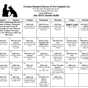 2025 Calendar Raffle