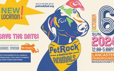 Join Us at the Pet Rock Festival!