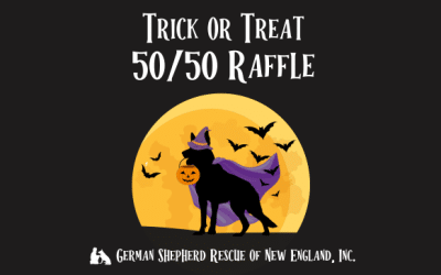 Don’t Miss Our Halloween Trick or Treat 50/50 Raffle!