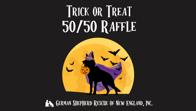 Don’t Miss Our Halloween Trick or Treat 50/50 Raffle!