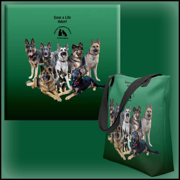 GSRNE Tote Bag - Image 3