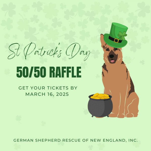 2025 St. Patrick's Day 50/50 Raffle