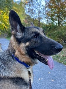 Kona