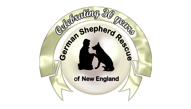 German Shepherd Rescue of New England Celebrates 30 Years: A Legacy of Loyalty, Love and Life Saving