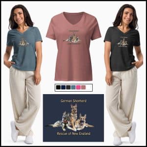 Women’s GSRNE relaxed v-neck t-shirt with Front design