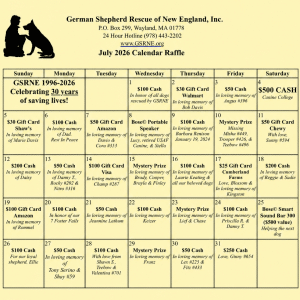 2026 Calendar Raffle